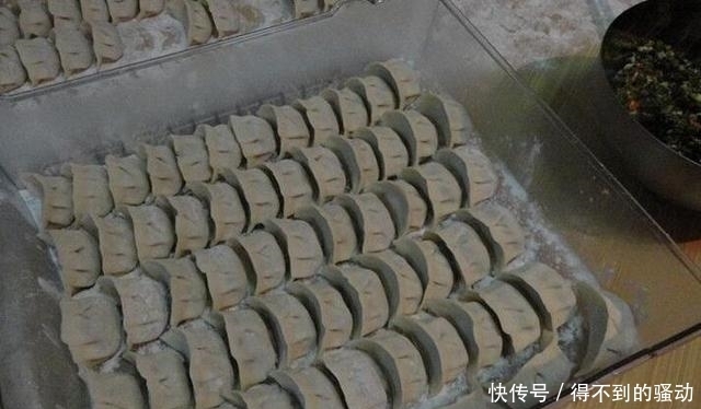 简单|饺子馅这样调别提有多赞,天天吃都不腻,简单易学! 附教程