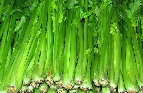 胆固醇|降血压效果最好的5种食物,每天吃一吃,控制血压悄悄降下去