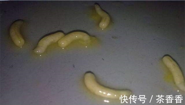 想要野钓鲫鱼连杆给口，这几种鲫鱼爱吃的饵料，就不得不认识一下