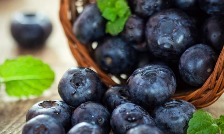  干净|蓝莓该如何清洗才干净呢？蓝莓该如何挑选蓝莓呢？看过的人都说好