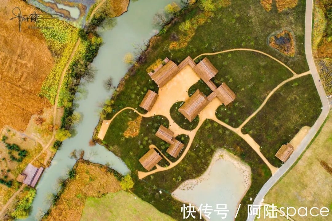 良渚|良渚遗址公园里自然的“油画”，总会让我想到那个疯子艺术家梵高