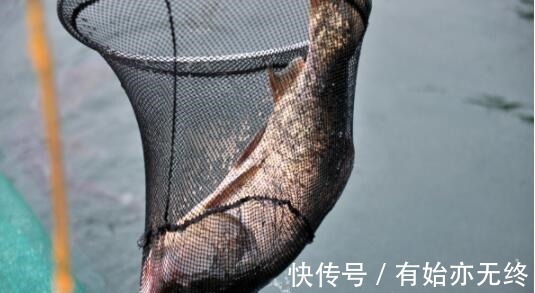 野钓应该选长竿还是短竿之前一直胡乱选,难怪钓不上鱼