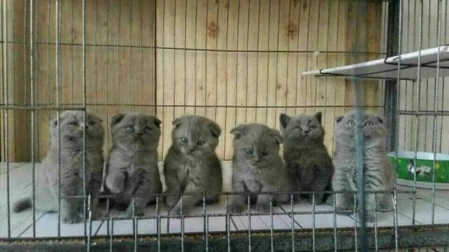 回家|带回家才几天,女儿头顶“秃”了!妈妈崩溃:我悔啊...