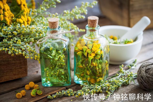 去世|养生大师林海峰去世，终年51岁，反思：这3种养生方式真的会要命