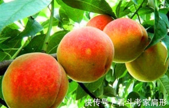 美容|女性到了中年,3种食物离不开,祛皱美容,排毒消脂,甩掉小肚腩