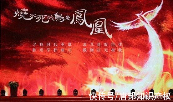 enix|被商标绊住？“华为凤凰”近似“华凤凰”被驳回，华为表示不服