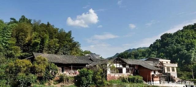 山中珍品,菌中之冠——鸡枞菌,在晴天雨后来一场邂逅!