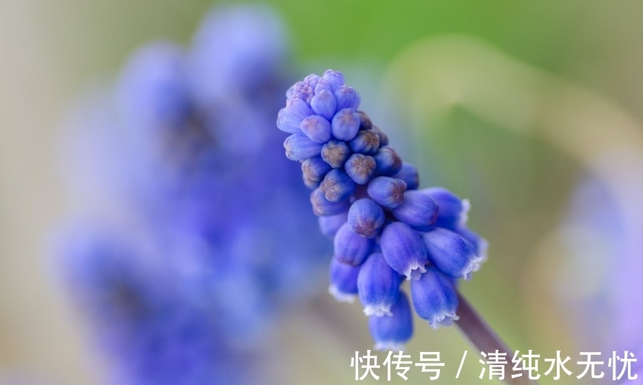 余生|7月,弱水三千,只取一瓢,甜蜜爱恋,3生肖相爱余生,破镜重圆