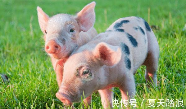 困境|7月28-8月6日,紫气东来,3生肖跳出困境,事业成功在即