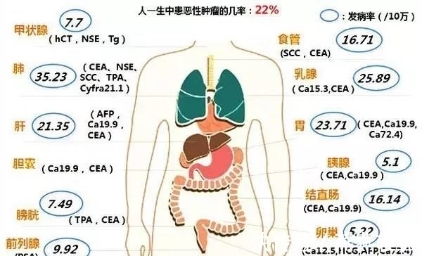 肿瘤标志物|辟谣！肿瘤标志物升高就一定是癌症吗？答案没那么简单