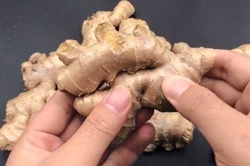 硫磺|经常买生姜的要留意，看到4种生姜扭头就走，学会受用一生！