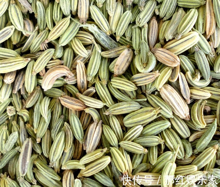 祛风|孜然降火平肝，祛风止痛，让更优质高产的孜然上市，只需做好三点