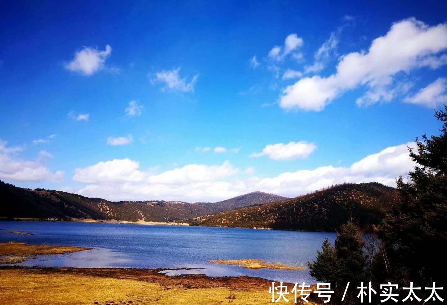 九松|练太极拳,要把身体松开,除了纵向上的松开,还有横向的松开