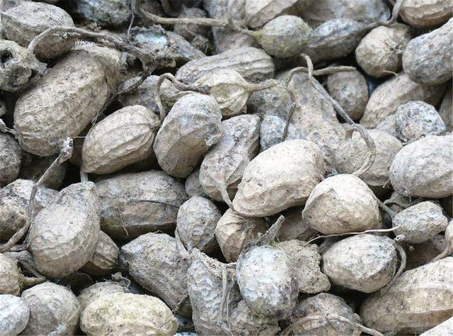 食物|肝不好的人，3种食物少吃，如果吃的越多，可能加重肝脏负担