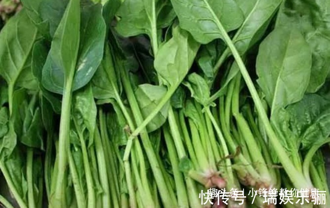 食物|长寿老人爱吃的此种食物,保障营养,增进健康,早知早受益