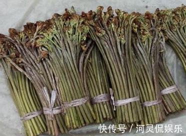农村|被誉为“山菜之王”的野菜,农村山坡上很常见,城里人表示吃不起
