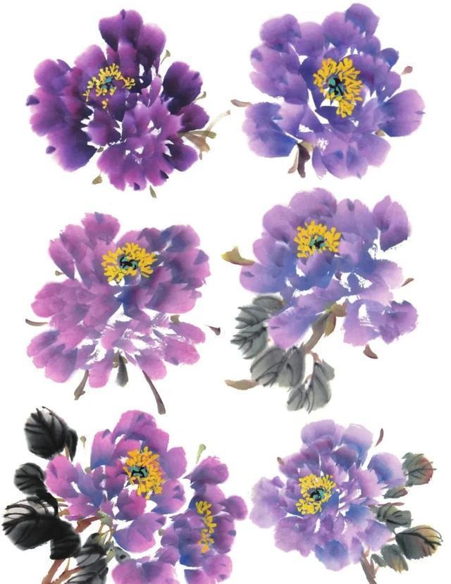  形态|紫、红牡丹花头写意画法与形态参考