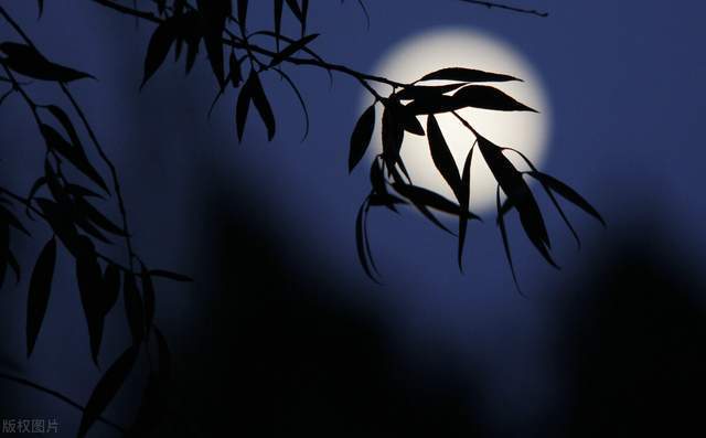 合院|花好月圆人团圆，适合中秋赏月的2款别墅，人间值得在此间