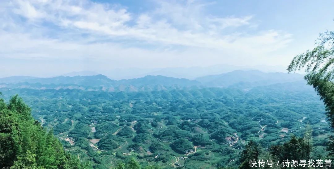 春天外出游玩时别光顾看风景，几类野菜不要错过，好吃又养生！