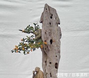 玩盆景心态不同,目的不同,则会出现不同的玩法!