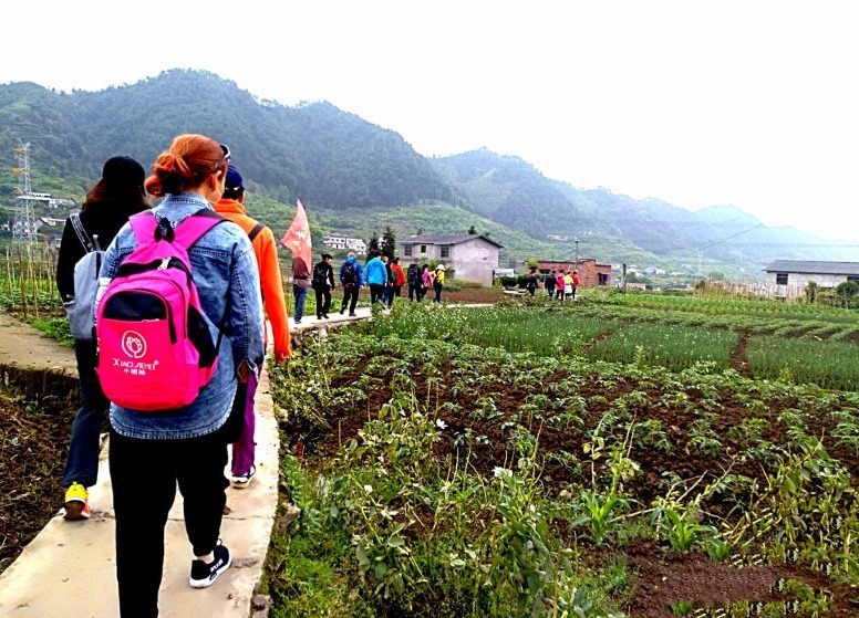 綦江青年:塔碑风水斗的百年恩怨