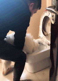 |搞笑GIF:姑娘 是时候找个男朋友了