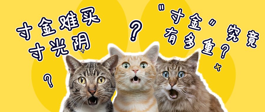  对算|这10道题，你都做对算我输！