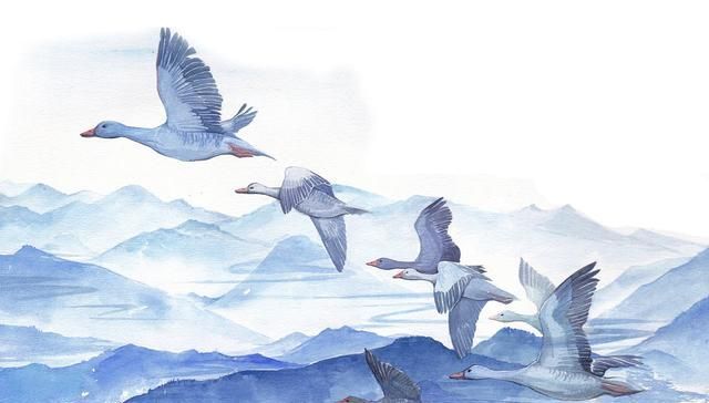 栗子#滚滚红尘怎求“道”?庄子:不比较,就是道!