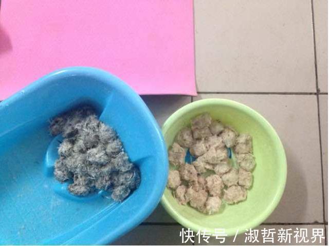 家里旧羽绒服不要扔了,回家这样利用,冬天超暖和