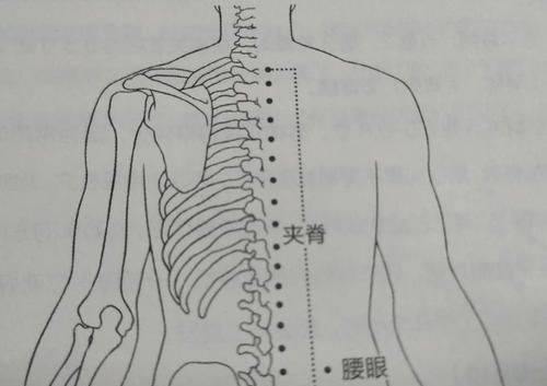  腰眼|盆腔炎按摩哪里？哮喘最有效的穴位，最容易疼痛的腰眼穴在哪里？