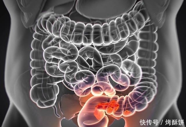 肺部|46—59岁养生黄金期，防好两种病，做到三处净，助你长寿十年