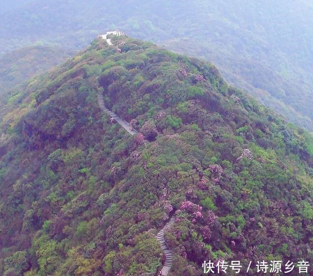 夏花|夏日秘境快来梵净山感受动画里的夏天！