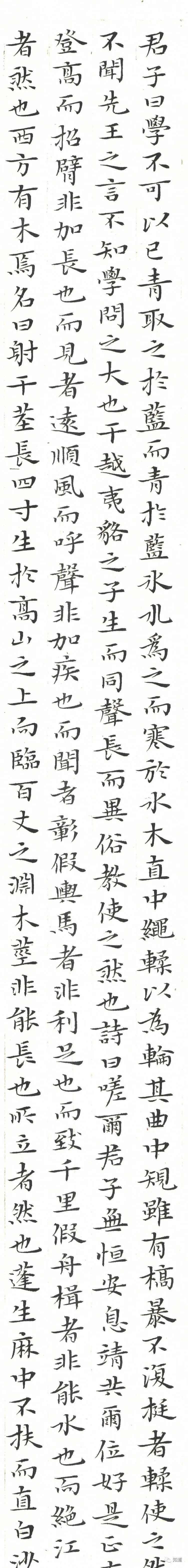  劝学篇|知道书画｜杨文彪 庚子年新作《劝学篇》