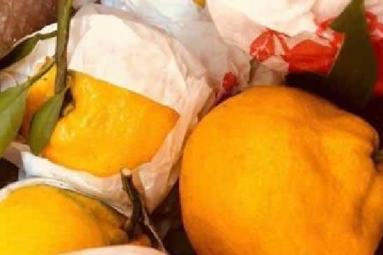 桔子中的“丑八怪”,肉质鲜嫩香甜爽口,好吃不上火