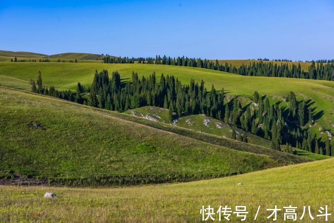 牡丹亭·写真!《牡丹亭》中的唯美句子,文艺典雅,丝毫不输诗词