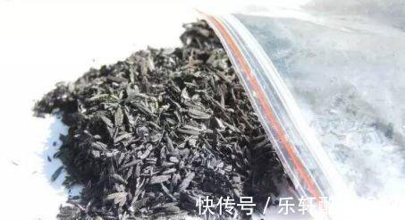 红蜘蛛|花盆里有虫子,有人竟然喷洗衣粉液,撒风油精,连蚊香也用上了