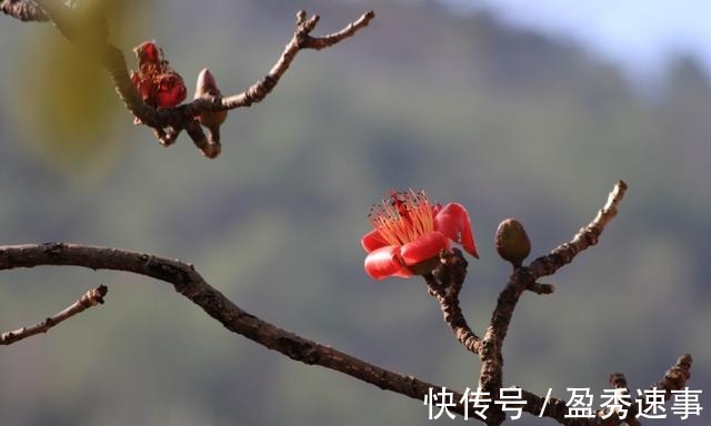 富贵在天|富贵在天, 生死由命(拼了)