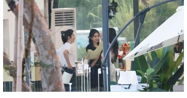 未播先火|《中餐厅5》未播先火 这一季都是“狠”角色！