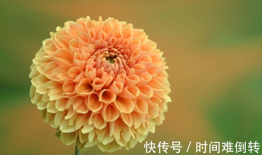 好运|哪些时辰出生之人,好运连连,顺风顺水,成长速度快,能打败对手