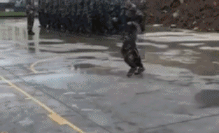 |搞笑GIF:看有些表演,需要做好安全防范