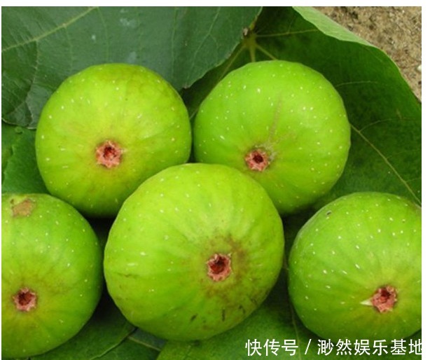 丙乙酸|不妨常食此果!保护心脑血管、防癌、抗炎消肿,远离疾病