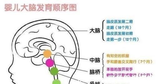 家长|哈佛研究发现:孩子一生中有3次机会“变聪明”,家长别轻易错过