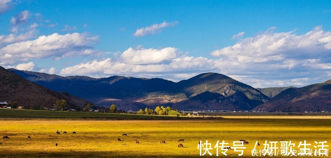 草原|香格里拉这个人迹罕见的地方，景色优美，绕海骑行是最佳选择