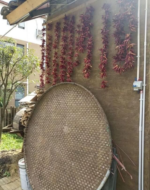 白酒|农村老掉牙物件！图一只有爷爷辈用过，你可能都没见过