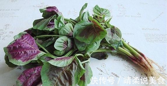 清热解毒|野菜吃不对小心致命!这7种野菜可以放心吃