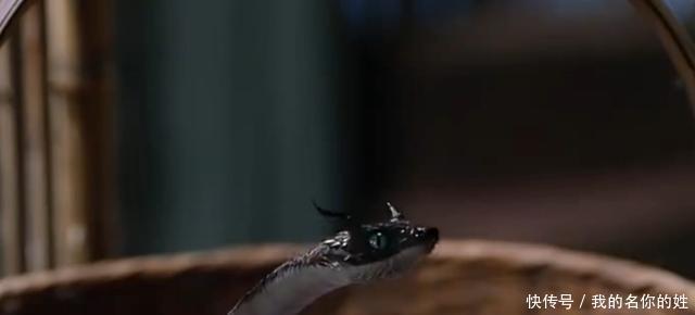 毒酒|皇帝倒了杯毒酒说祝弟弟活千岁!他说了一句话,竟救自己一命!