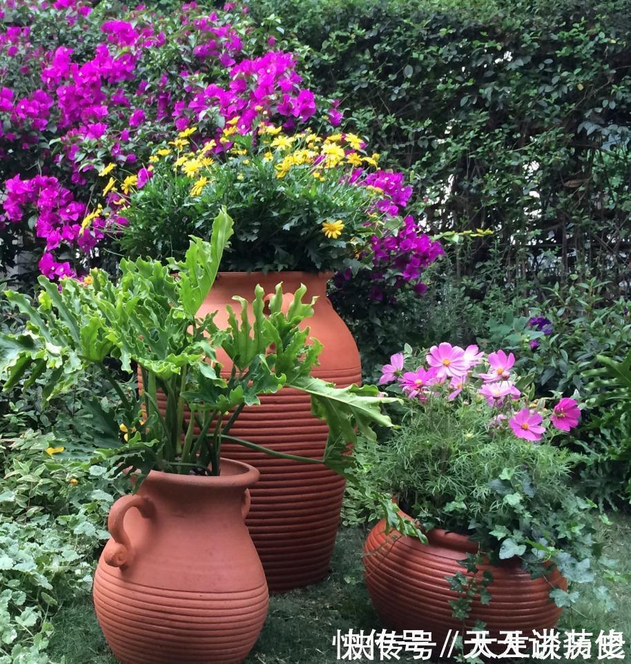 新手养花用红陶盆，红陶盆的优缺点，你知道多少？