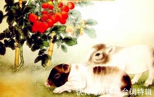 生肖|71年生肖猪50岁以后的运势,生肖猪的运势会如何呢?