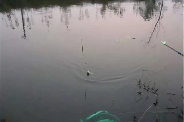 走水严重无法观漂,这几种钓法完美解决问题,钓鱼大师都在用