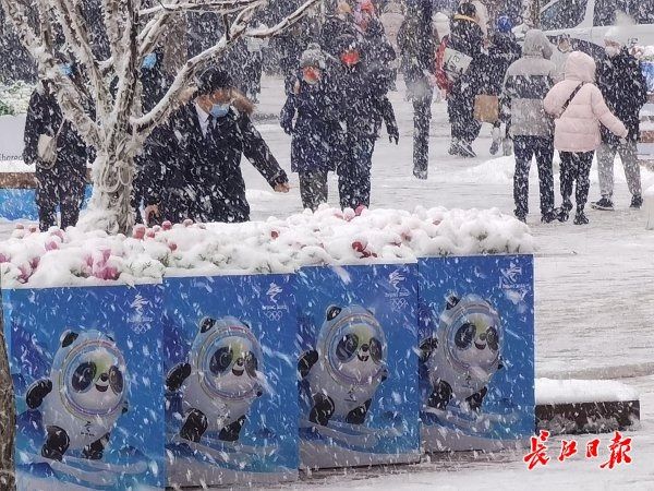 冰雪天，北京市民游客排队买“墩墩”丨松哥看冬奥